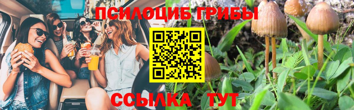 Галлюциногенные грибы ЛСД  Галлюциногенные грибы Psilocybe  Куйбышев  Вход с VPN 